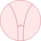 olovisa.com