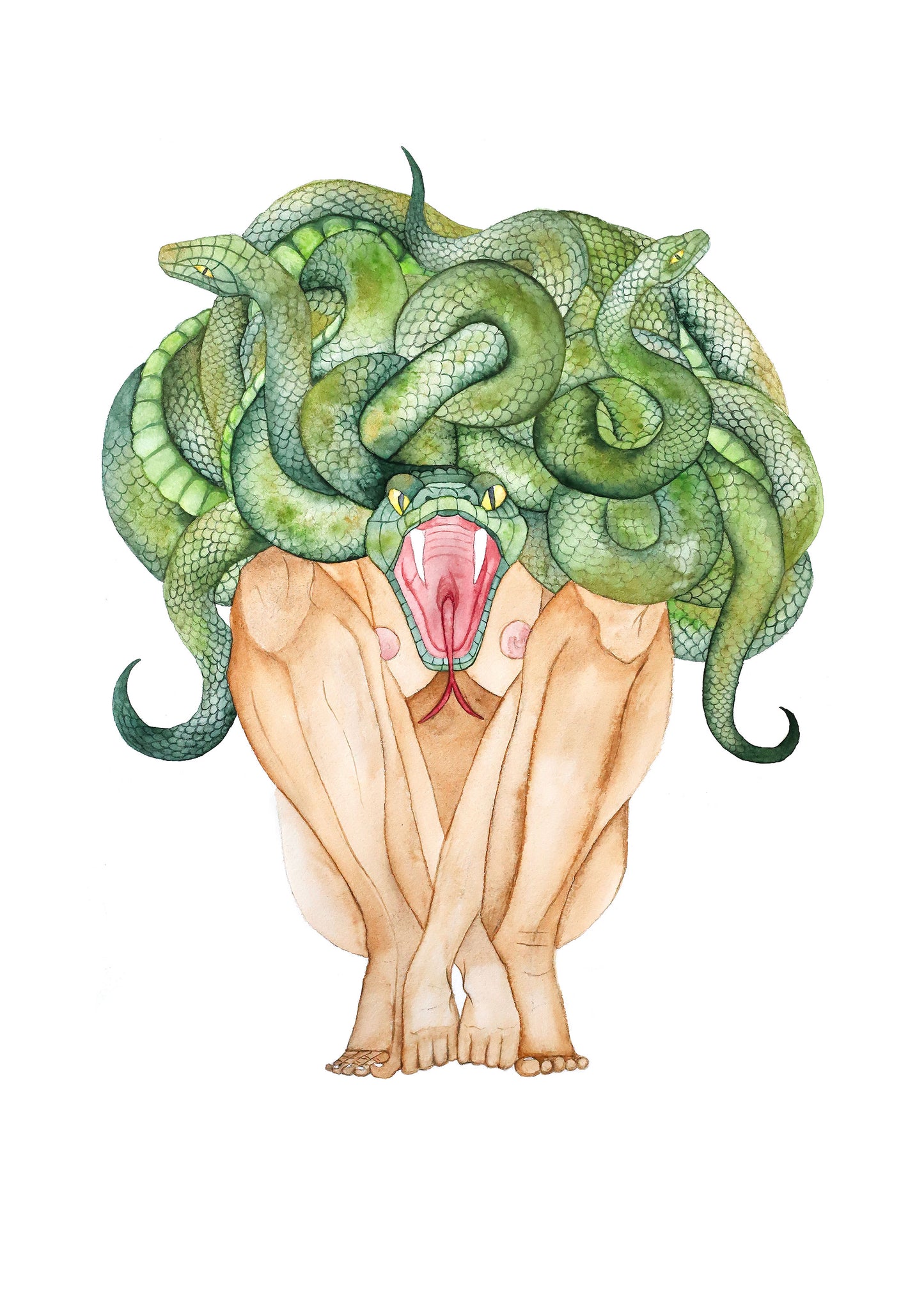 Print - REBIRTH